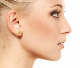 gourges diamond earning